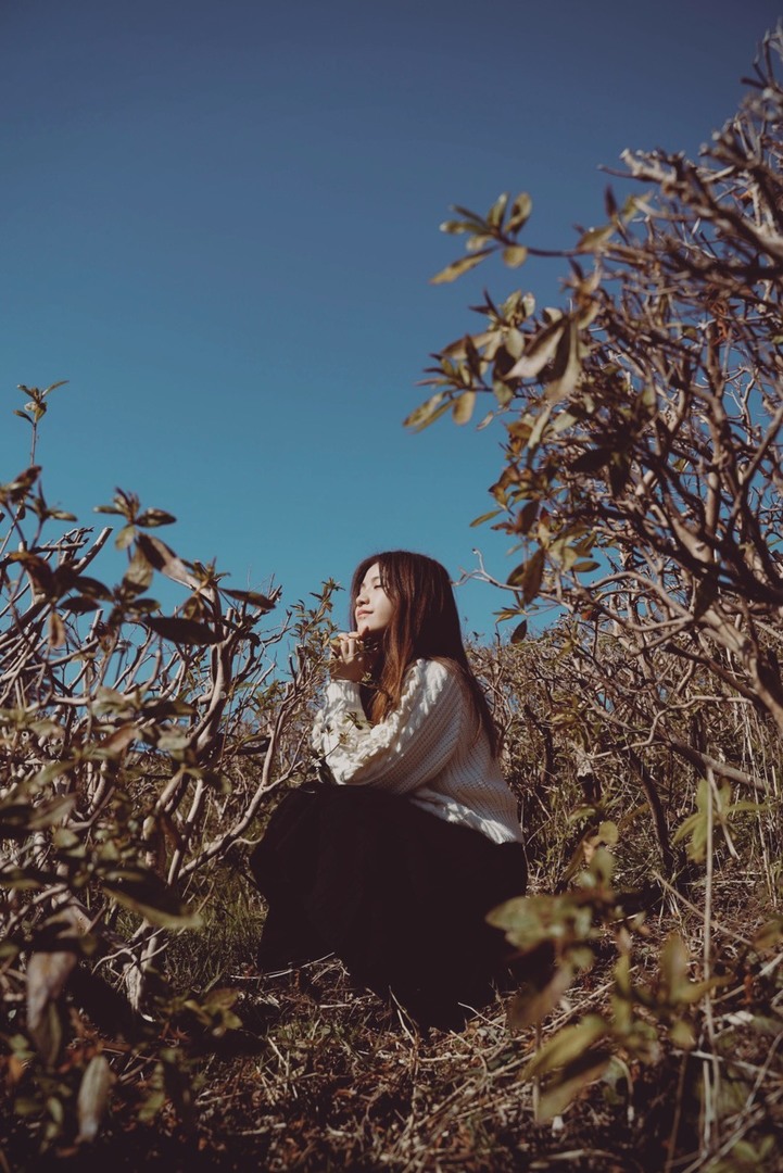 Thumb 2f303d2a 8b83 4677 947c 6fb0529579ed