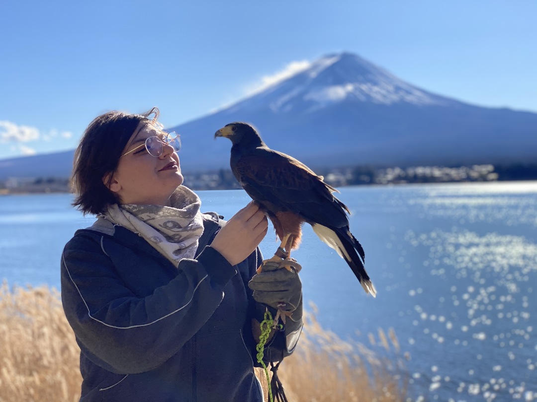 Thumb f8131064 7467 4156 855d 0d5f1bd8ffb0