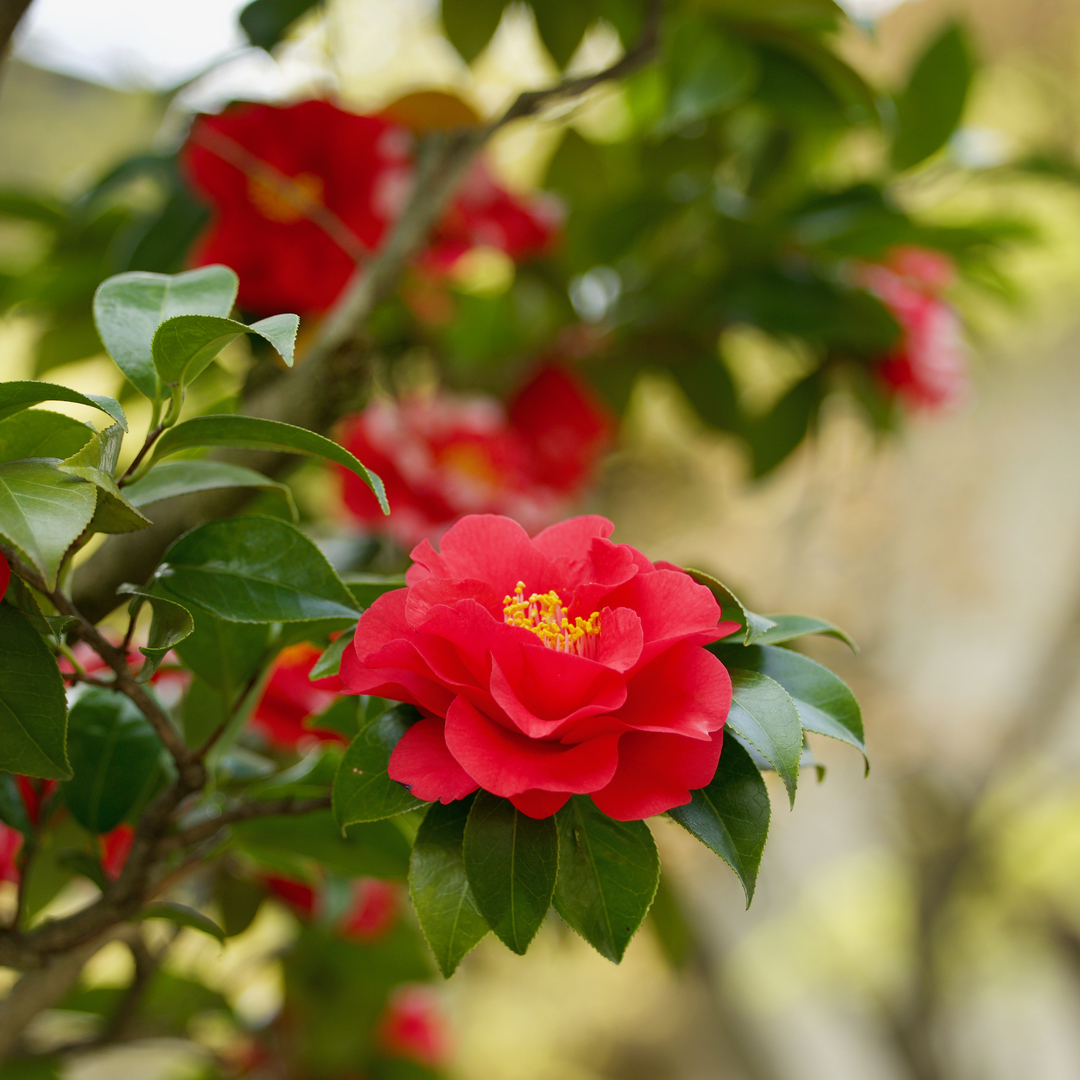 Thumb 60a8535e acb7 43a6 9e2f 03642aa09a64