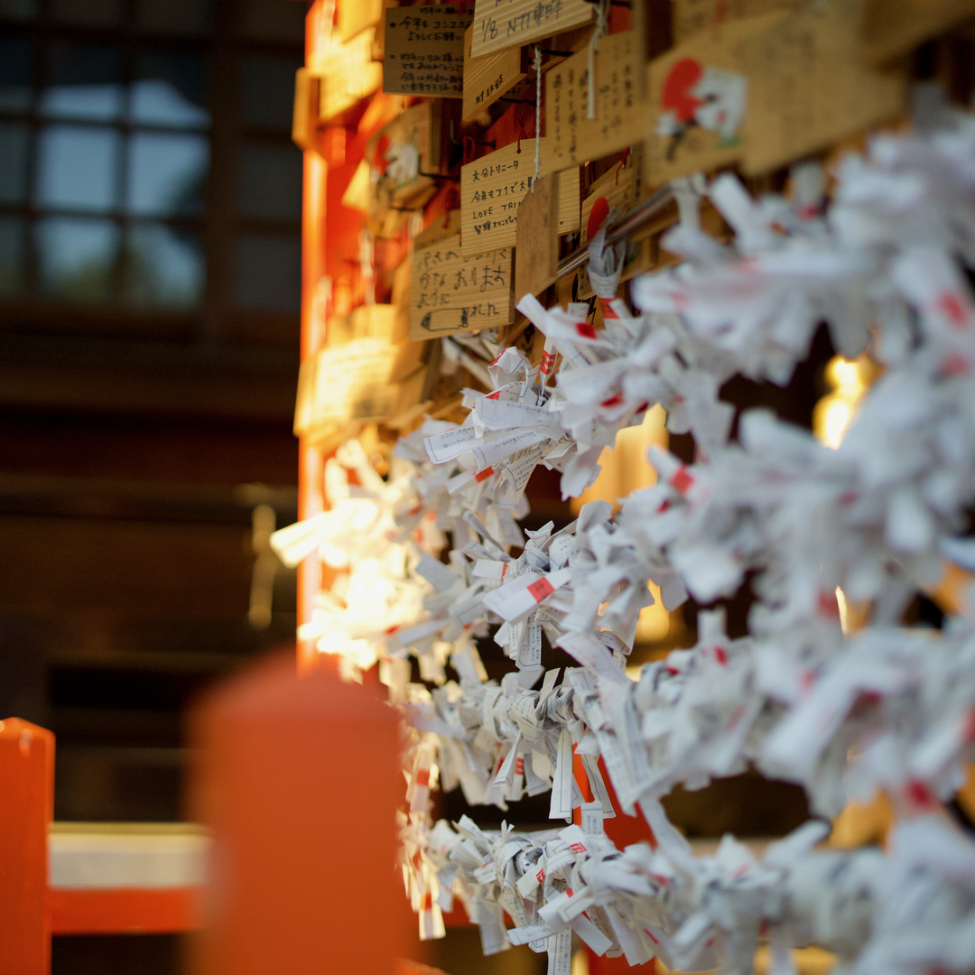 Thumb 9f054407 c6bd 4417 918c 27f0275adb50