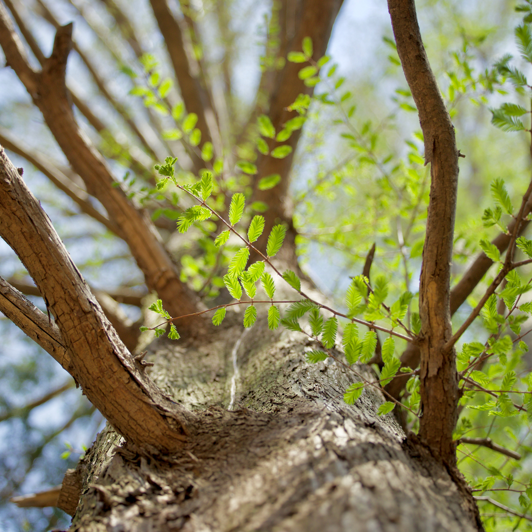 Thumb 6b0ce3e9 d42d 43e6 abd7 4767d00236b6