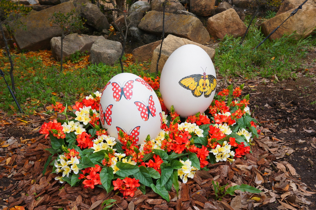 Thumb 0aa3c4de 1c59 4230 99d0 bfa5c3d8f002