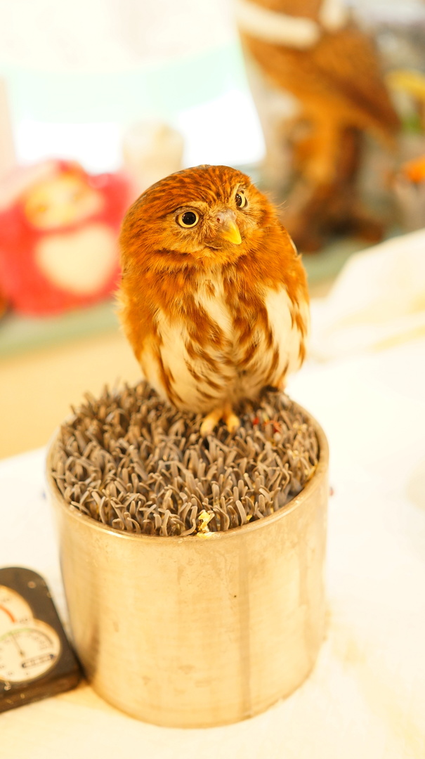 Thumb 7931f478 bcab 4baf b7d2 59fe7be339d2