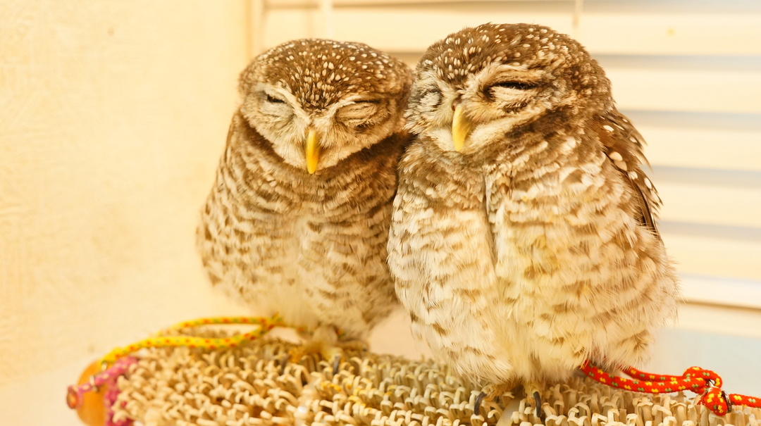 Thumb c44802d5 ad16 4d21 b3f8 222485629f65