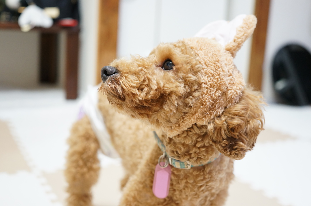 Thumb 8752f784 3b24 4838 859d 458a21cf33e9