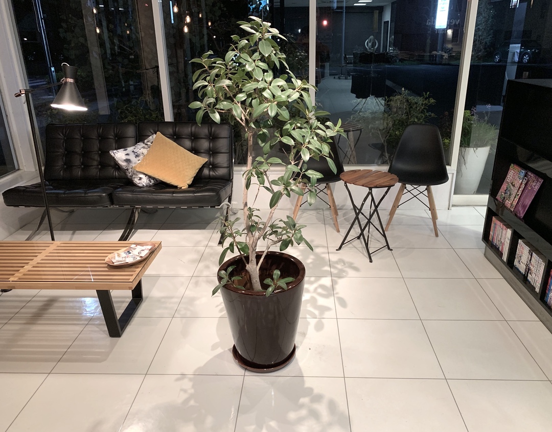 Thumb 7676cc70 2b52 4dbd b4c7 243863dd48c7