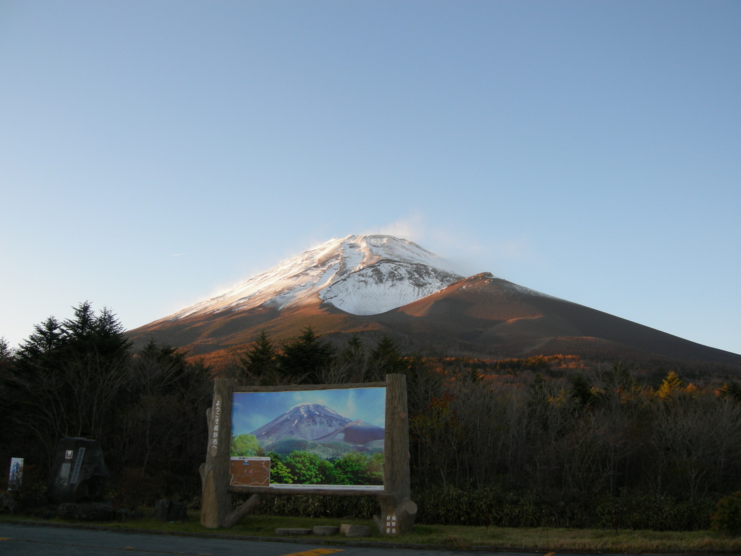 Thumb d1db14b5 9fbd 436e a8a9 0c7d3a8ea74b