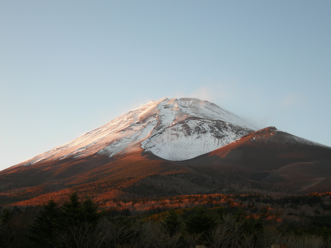 Thumb 1f977af0 1b70 42ca aadb e9d6f7d15ace