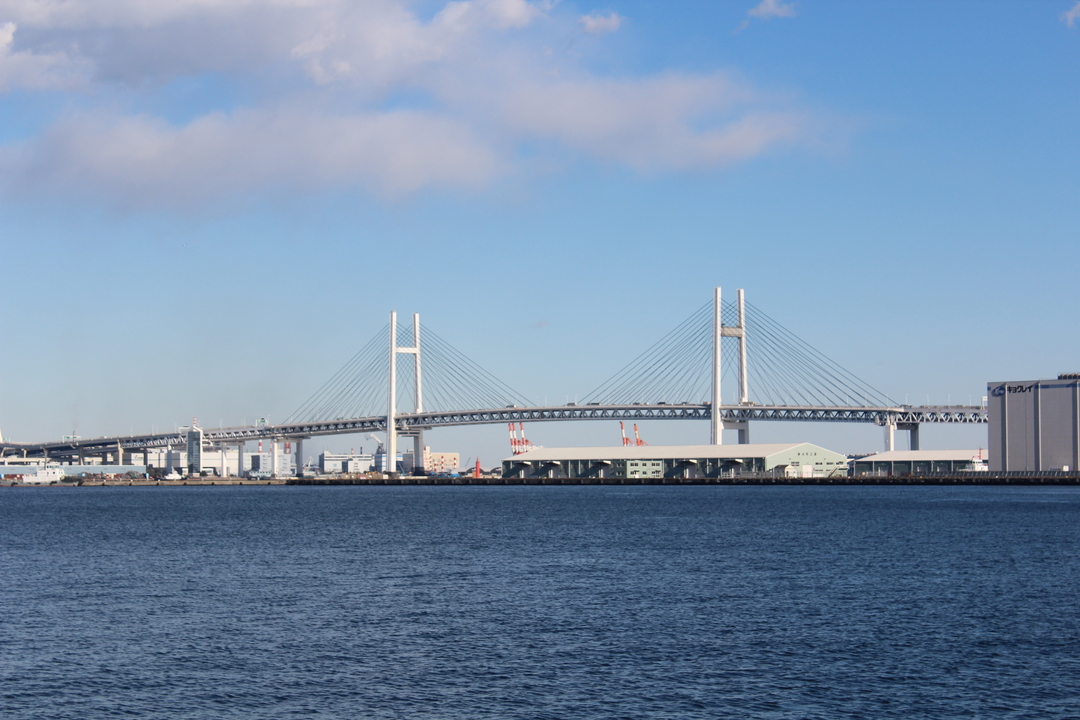 Thumb 55d2affd 99d1 4e3e ac50 4908fc43f873