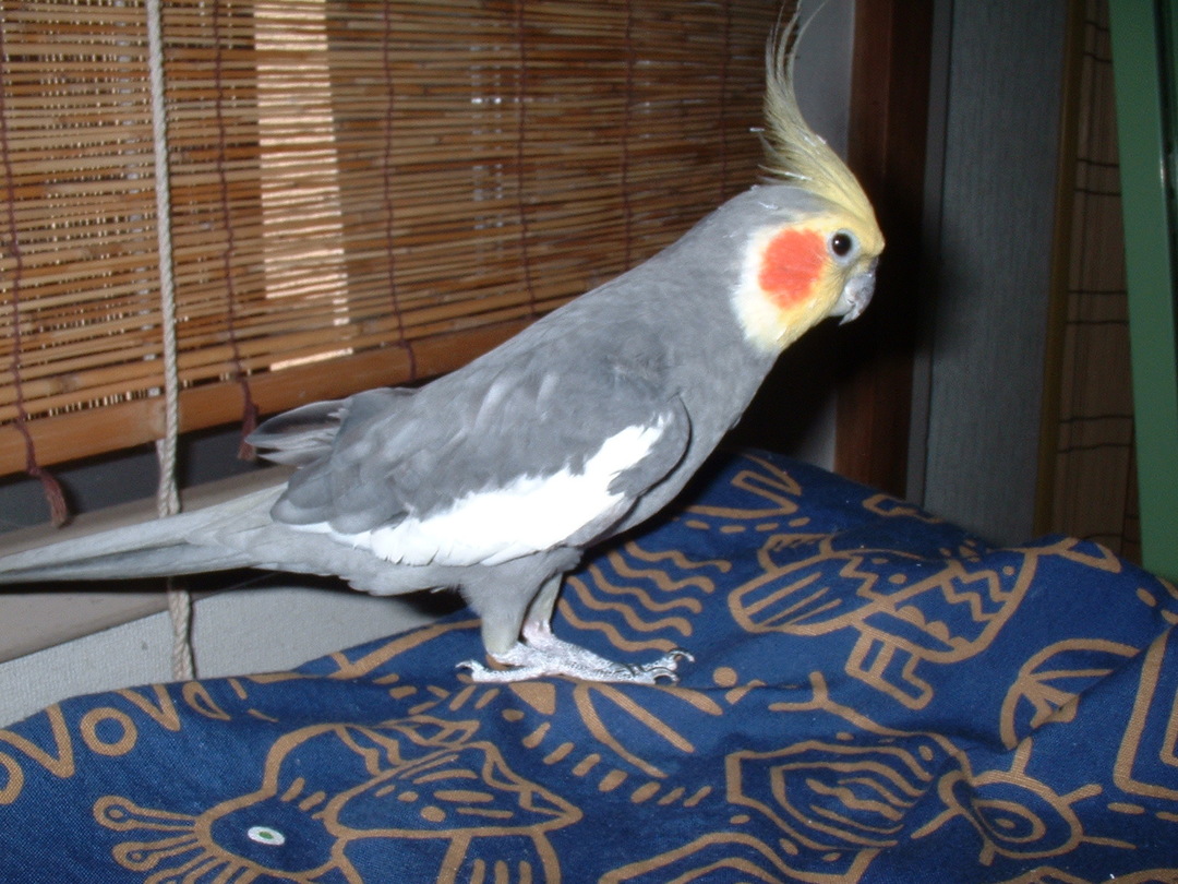 Thumb 0ba5ee50 c08e 498f 8b95 ba7fe69352db