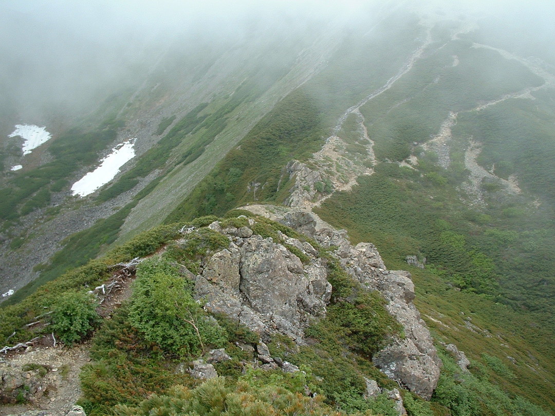 Thumb ca0b29c1 166d 4793 9f79 04ed83b830de