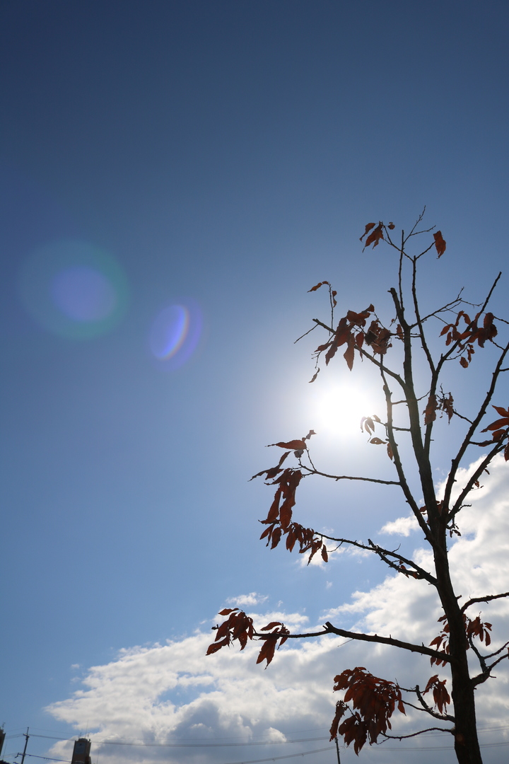 Thumb 8ddb7617 cfaf 4e00 a677 4d0875d3dad1