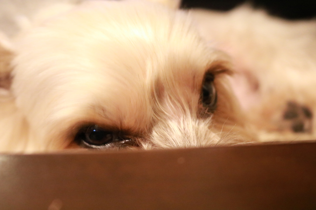 Thumb 6794b554 3509 4326 a81c 65f53f9954ec