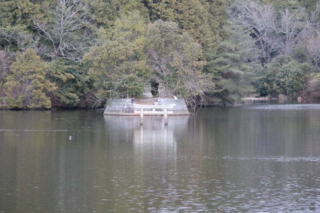 Thumb 51748111 862e 4f38 8eef 47130b49d127