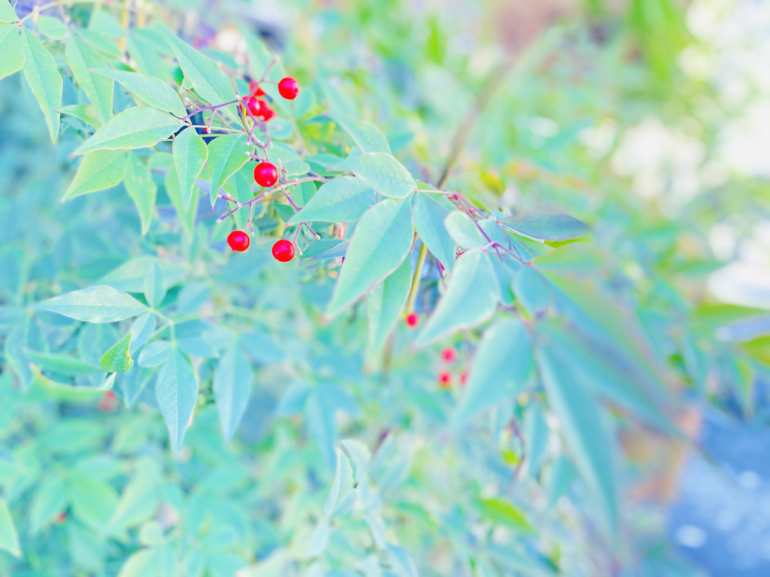 Thumb 29bcab29 9c22 47d1 bdfe cd56ad33ce4c