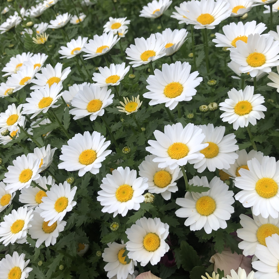 Thumb d711af70 f948 455c 8c3c 1641b1b500c3