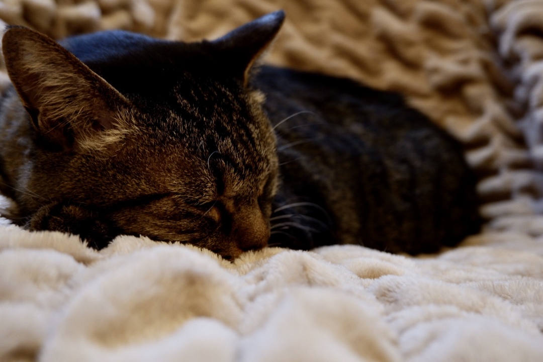 Thumb ac3284e9 018c 4f57 9dc1 7e8317e693f1