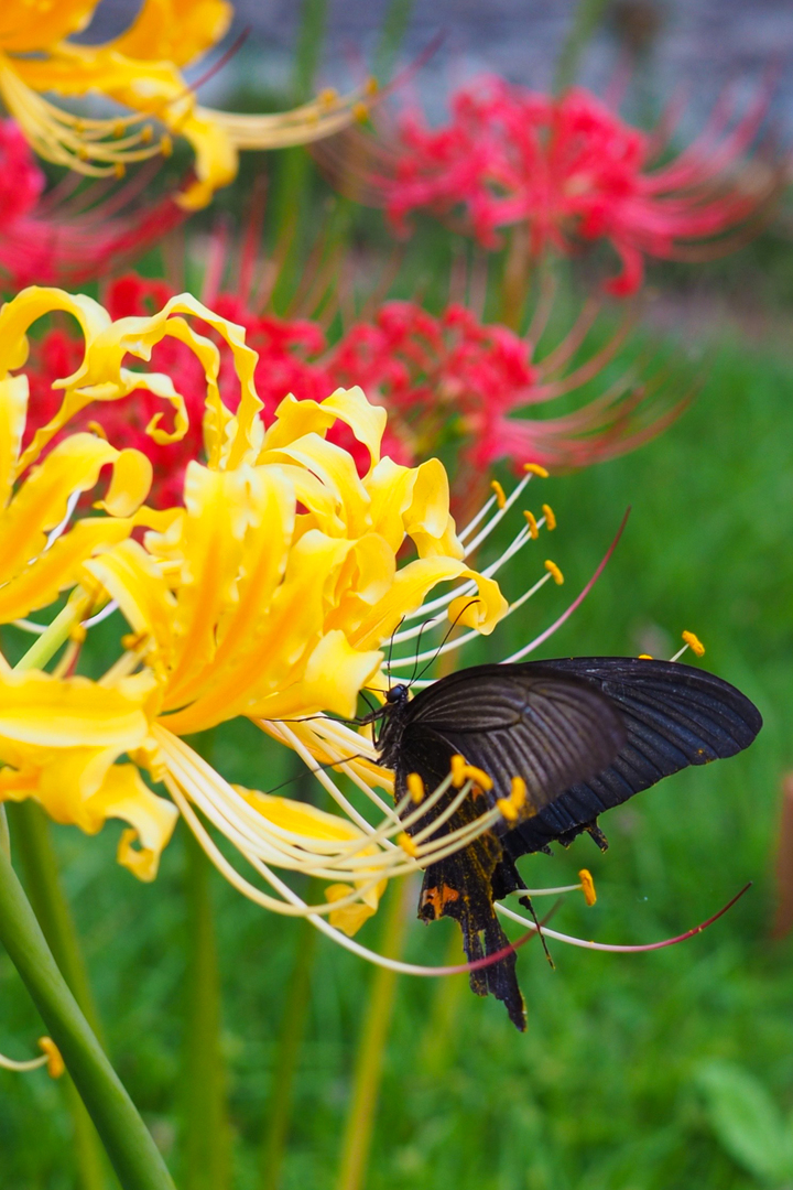 Thumb eee0e411 b8bd 4442 97d3 e0346c3ab55a