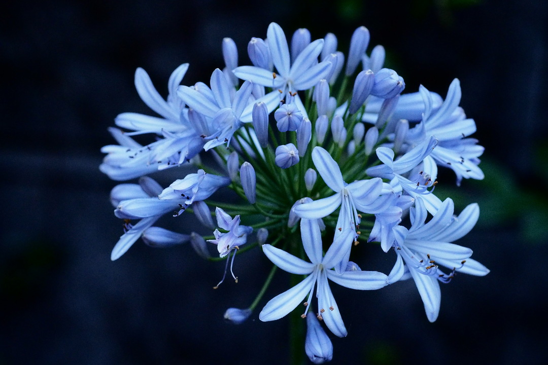 Thumb c8f61232 d7d3 4328 acf0 243fa3eb7b21