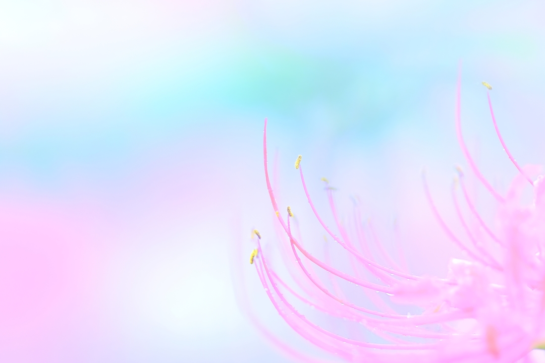 Thumb 534268b0 012c 40f4 9d08 39cc5a0b26fc