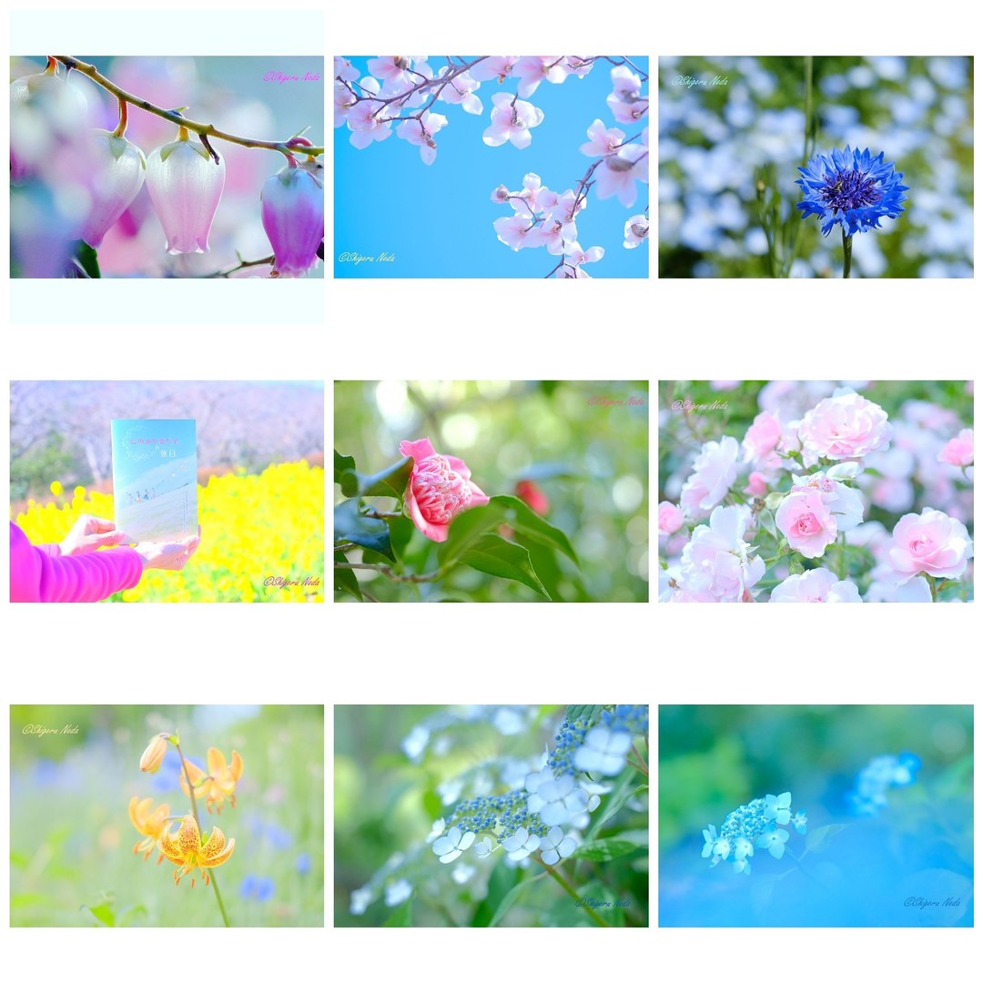 Thumb 9f5bad2e a1bf 4b5c 9d9b fdf914625488