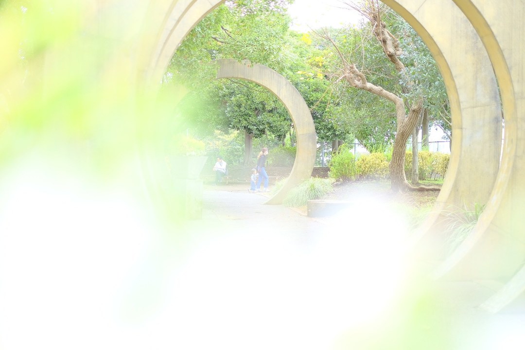 Thumb 84b8f456 c5bf 4299 a187 ffce1ef89665