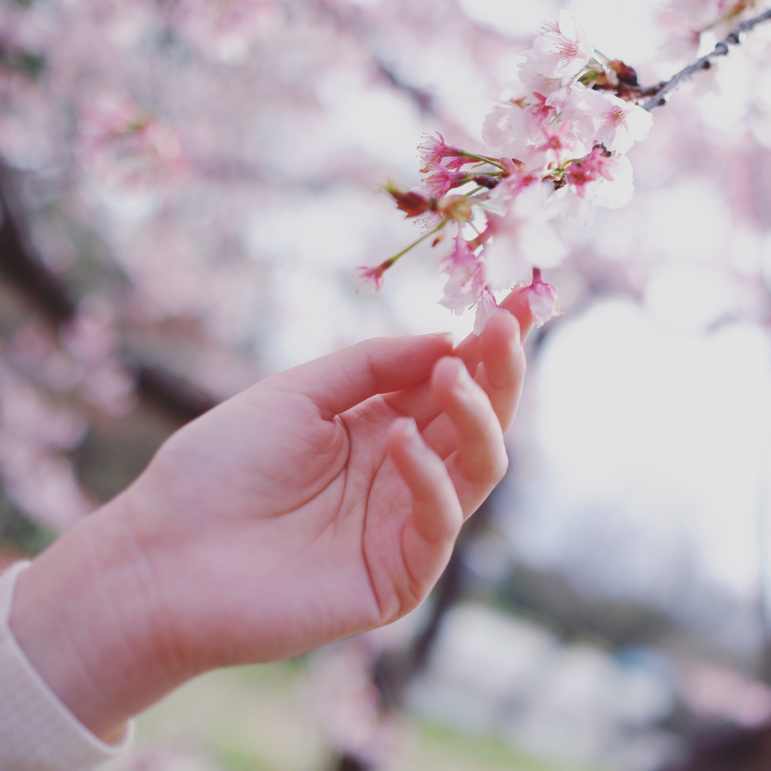 Thumb 9fa5d17c 6817 4d3c b0f0 fa5638117d16