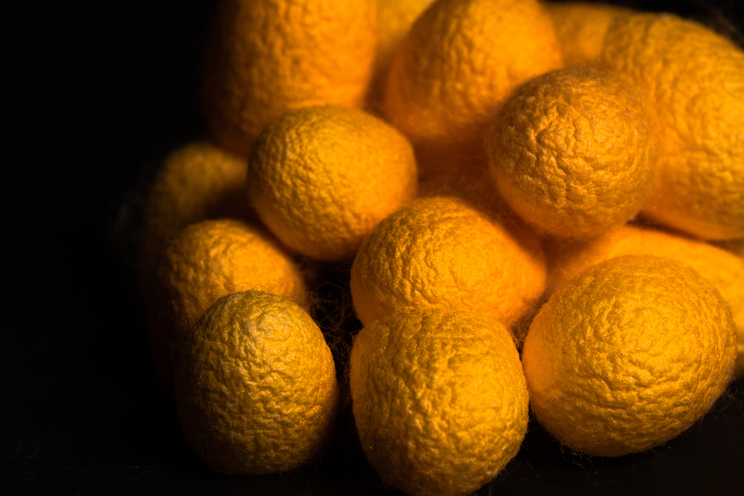 Thumb 5d7d3938 3ebf 45c8 a9dd 9266ff304e95