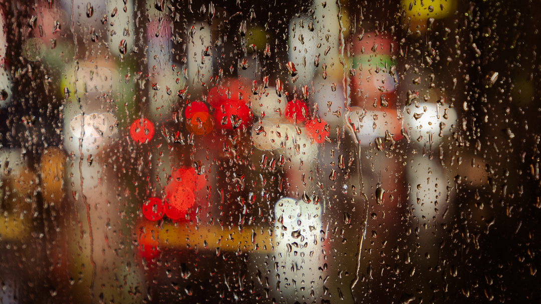 Thumb 8f6127db 4e8c 46fe b97d 8374251db54b