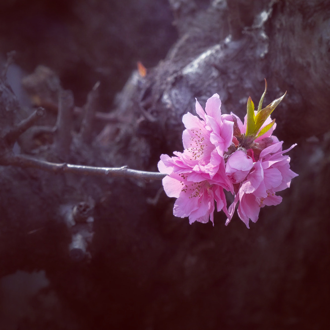 Thumb 45ef4c65 615b 4a66 9119 2627dd9dc633