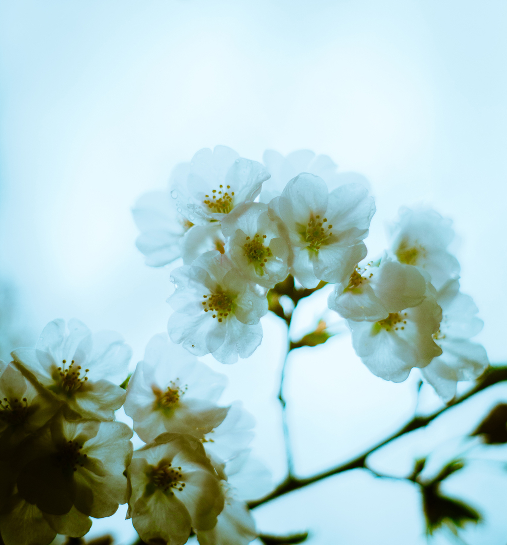 Thumb a92c5999 54cf 4618 8e7d e7a9d2d475b8