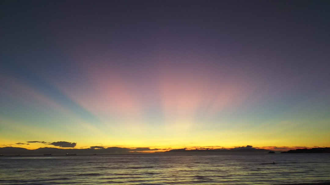 Thumb 9f0b7cc6 5c9a 4d93 96cd ff4dc8769b81