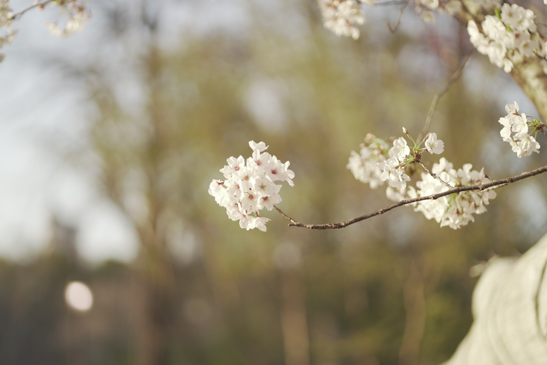 Thumb f700b843 e640 43ee 9e61 acb23aad900c