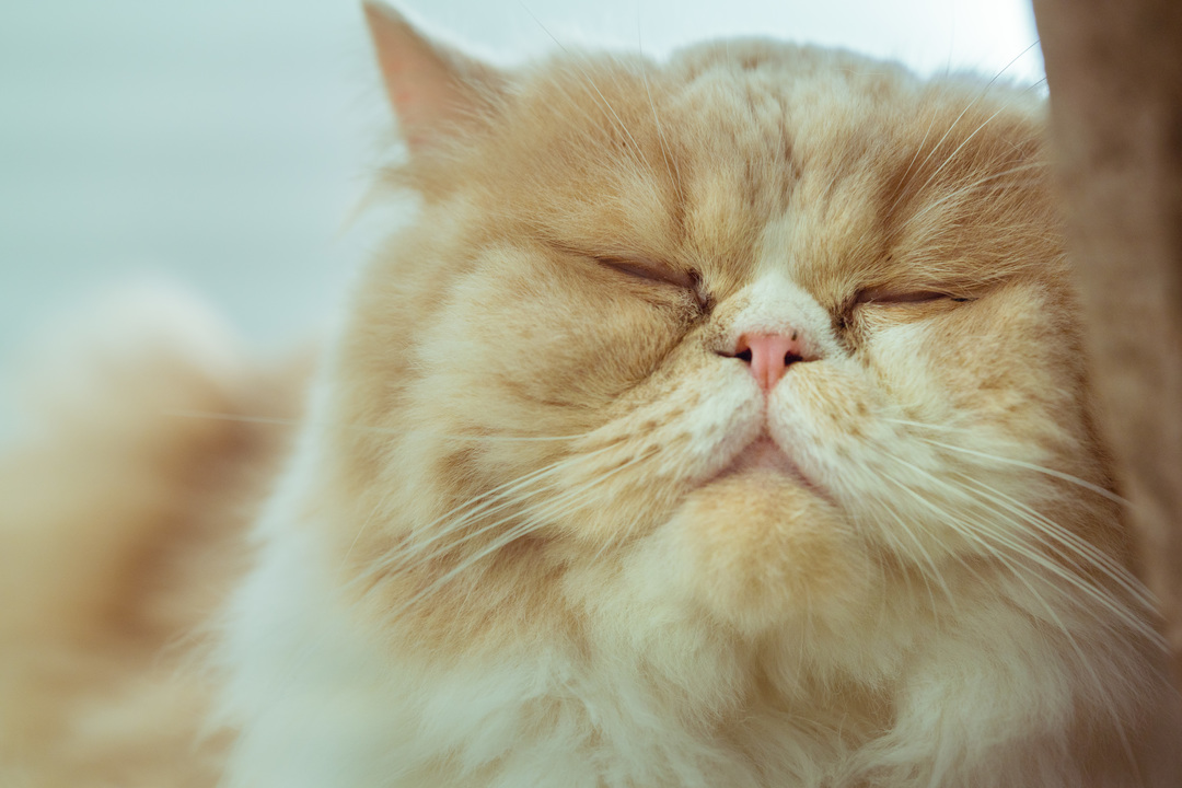 Thumb f3a1fd5c 2d6f 43f2 96b8 4d749b2c8bc0