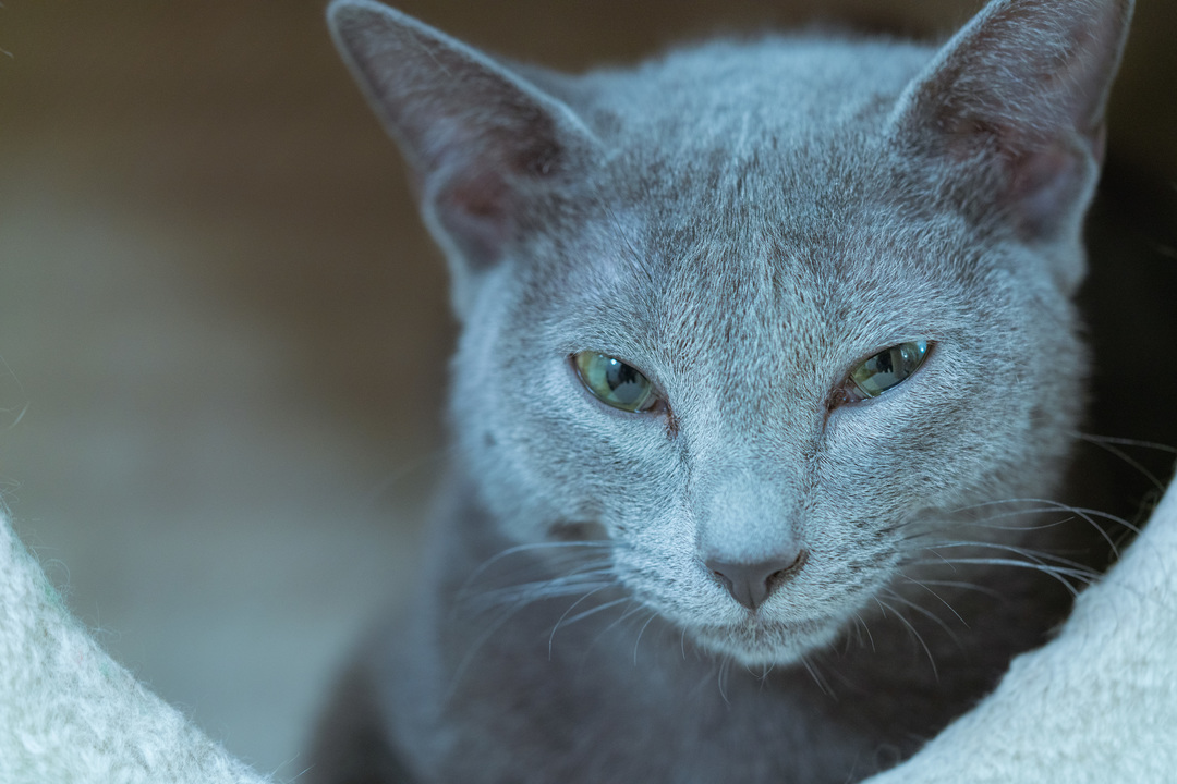 Thumb ff4097e9 bcc3 42fc 92d9 57af5a854a82