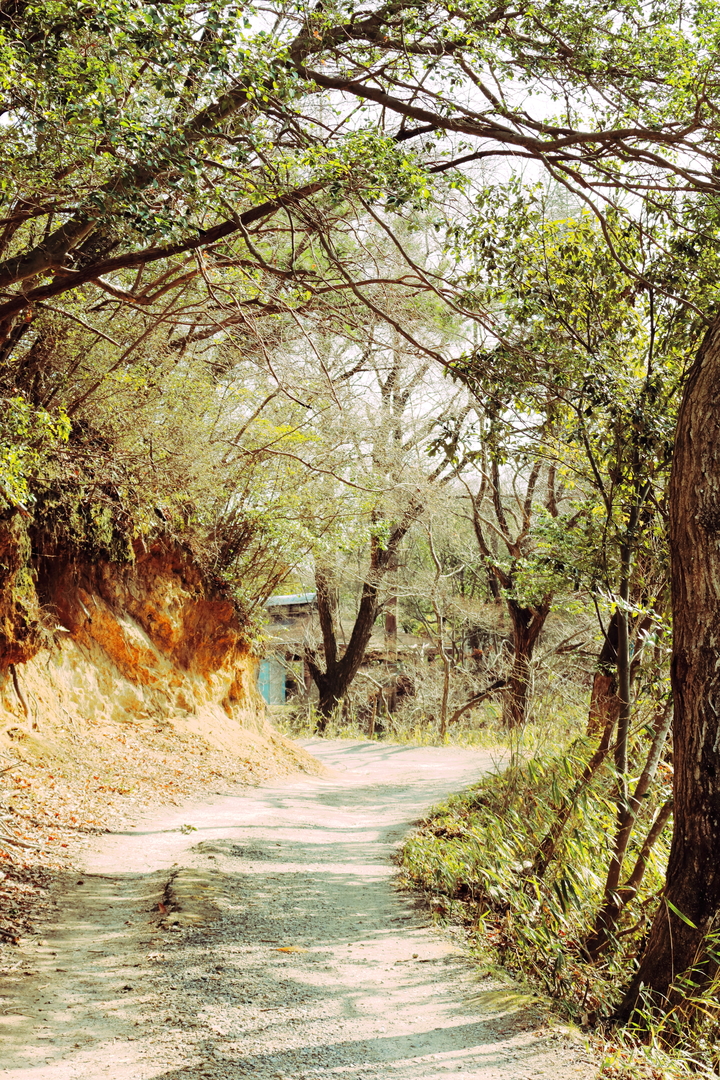 Thumb 93e613c7 32f2 445e 8c6a 86255950d9bd