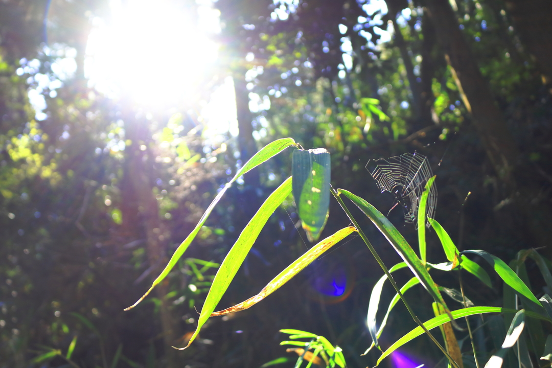 Thumb 5ac188cd 451b 4a5c a26b 67b796f88642