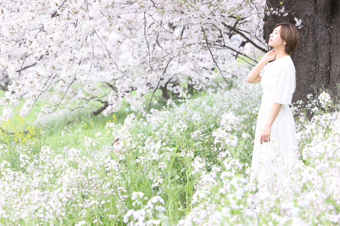 Thumb d7e2cd85 7bb6 4838 b955 229066d2b946