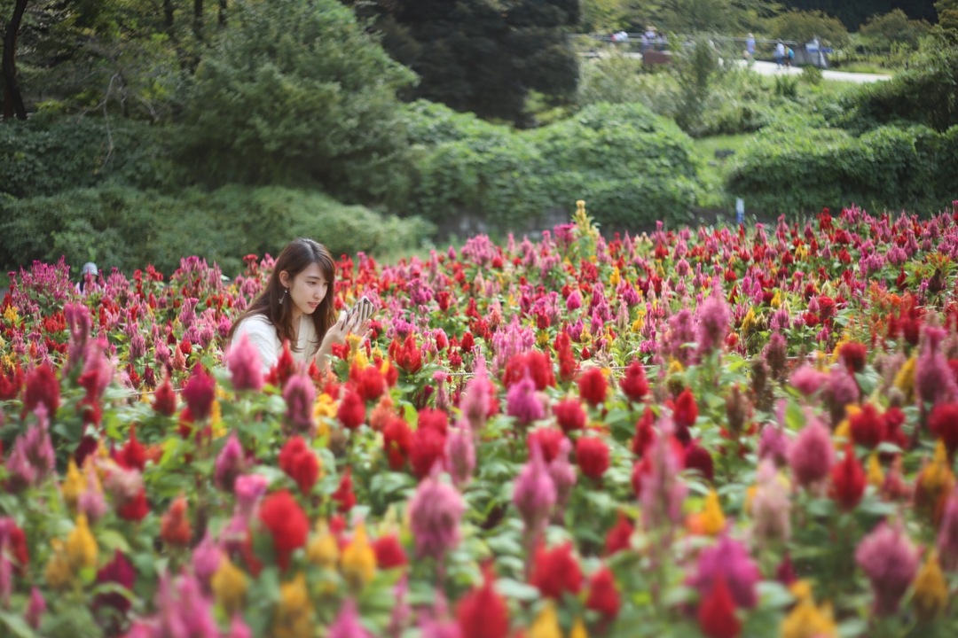 Thumb 777de2b7 4480 453f a368 b6843def4421