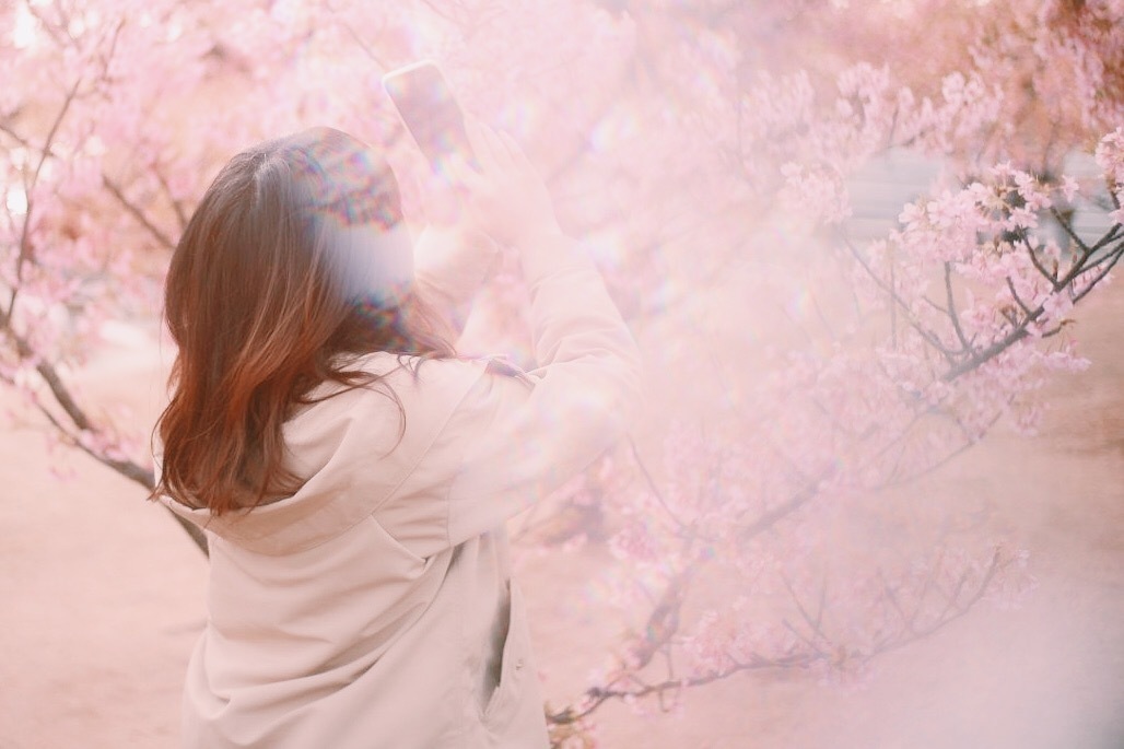 Thumb 94972fb2 d463 42dd 8189 29b504915250