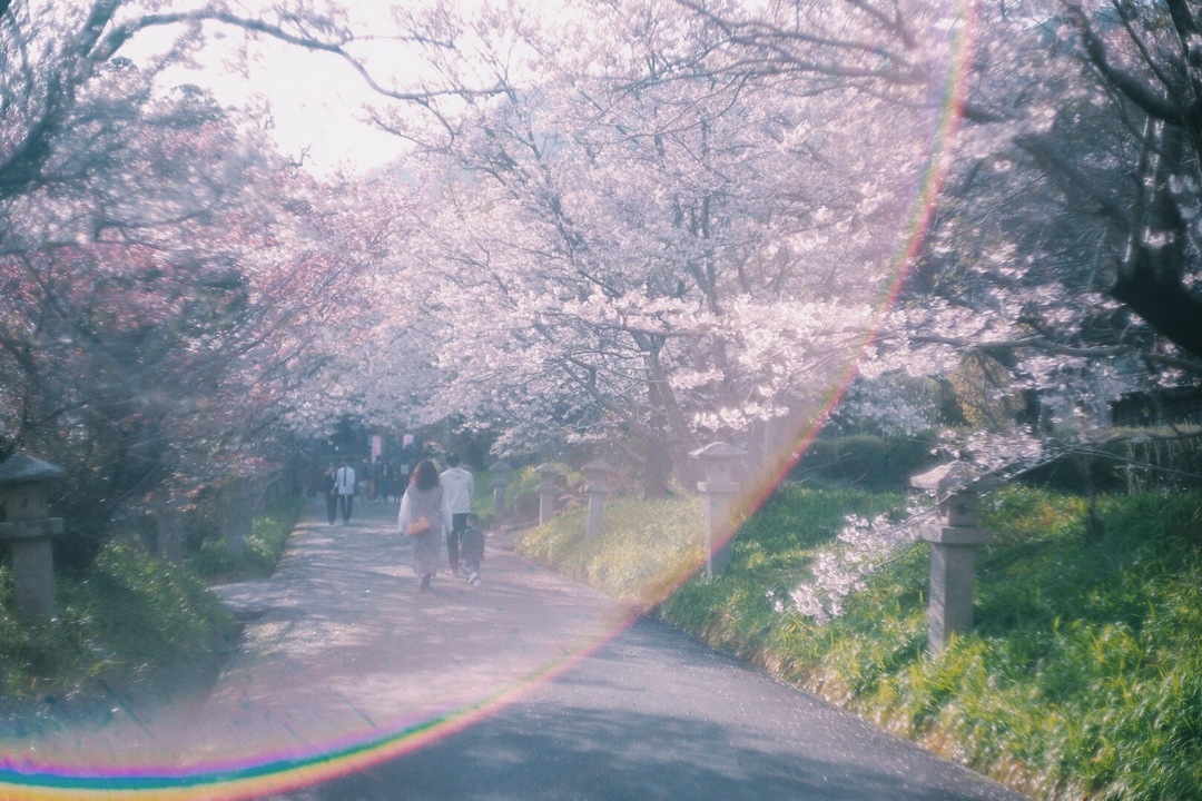 Thumb f6a5c353 bf7f 41a8 92da 50f87a737f52