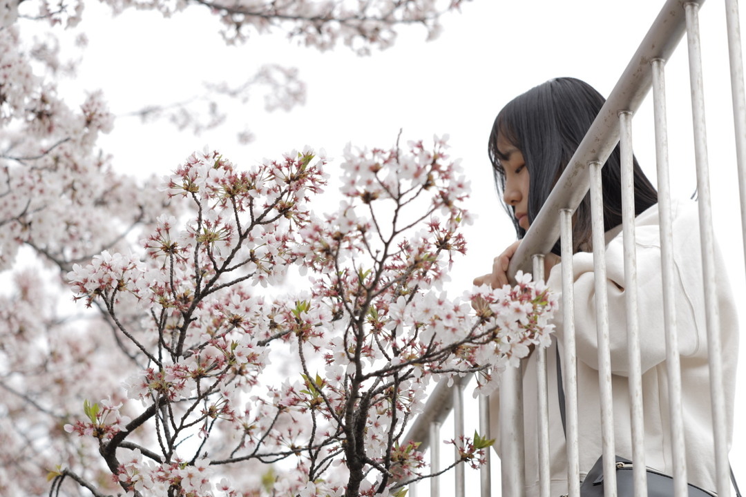 Thumb 0c5ed9f0 4809 442c 9654 6b71c2c1a26e