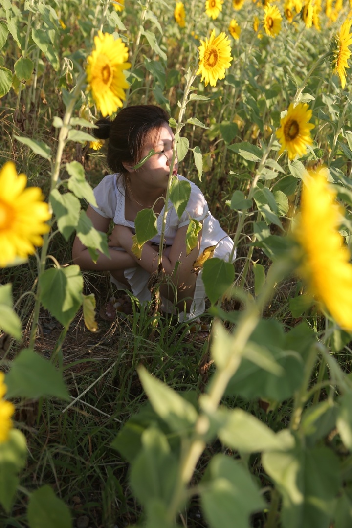 Thumb f4a2d805 e6c7 438d 8d67 3403bac68648