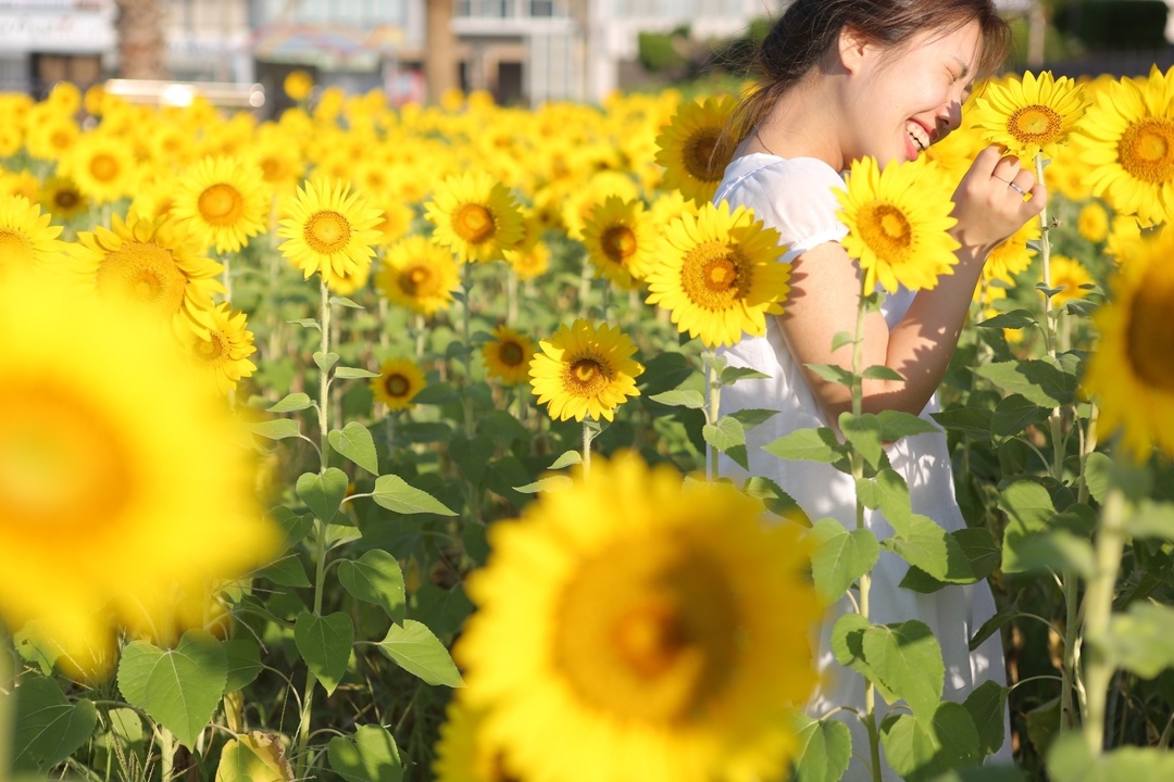 Thumb ad44ef7e 5af0 45c0 af65 d741be89fcfe