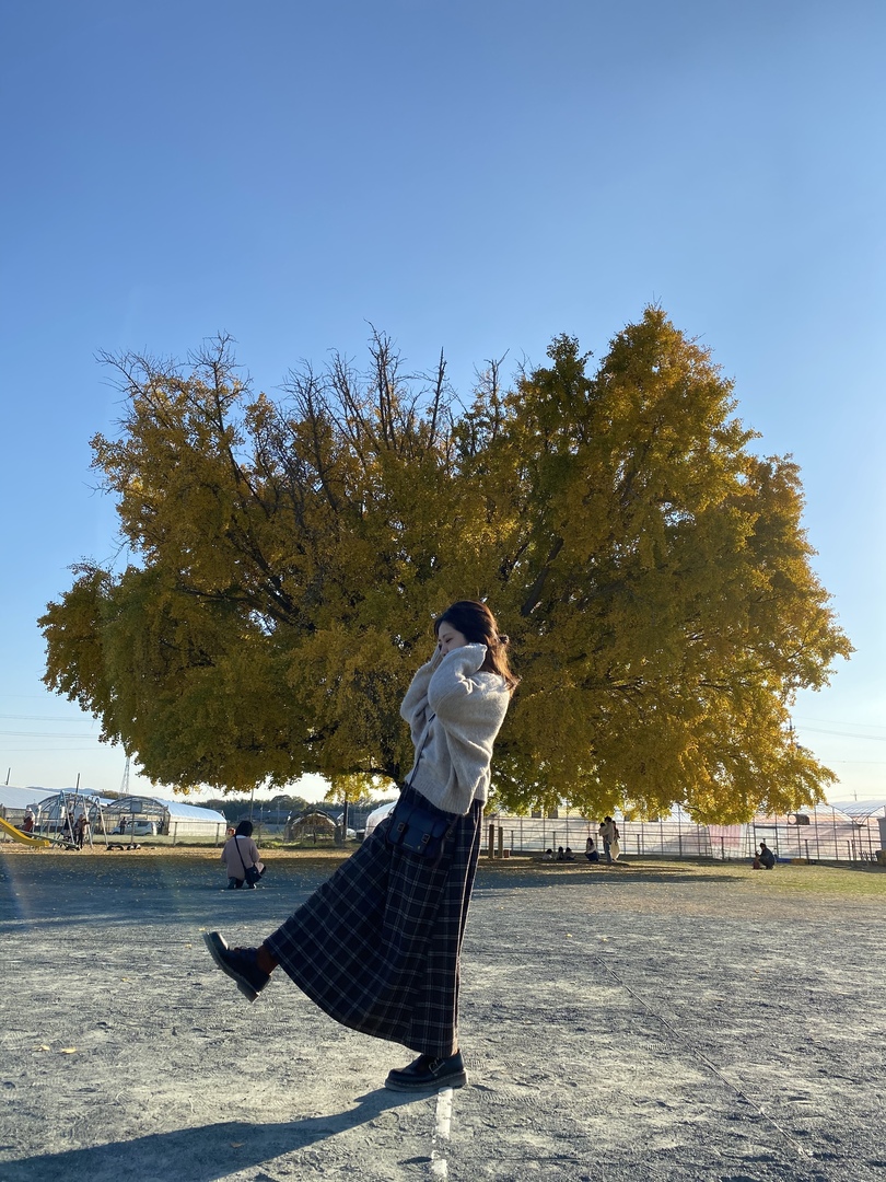 Thumb 026661ed 3c03 4aa6 8a04 d268cd42b21a