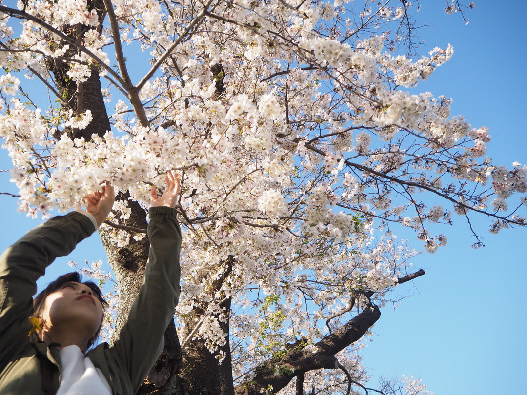 Thumb 0d22e493 fd4f 414e 8fd5 08b327d1e09e