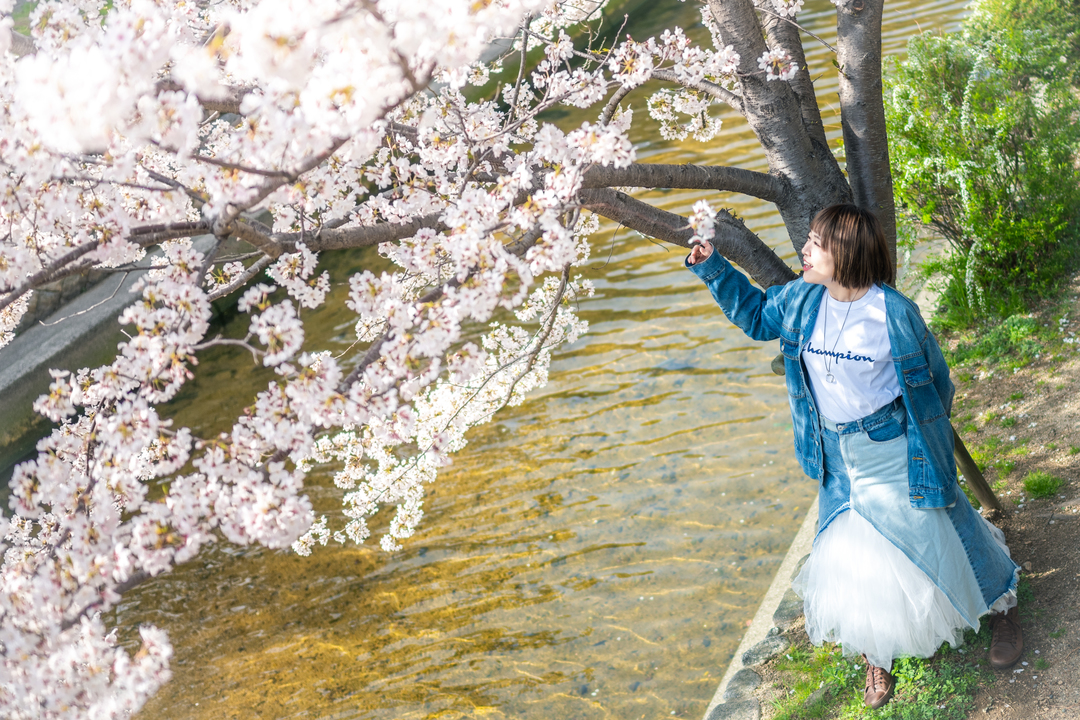 Thumb b081308f 4822 4a72 8e00 d828f29e08be