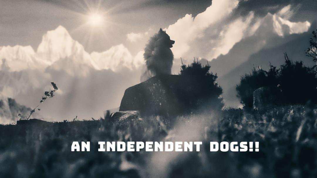 Thumb 3a4899b8 da7e 4478 8cd6 117df0f0e85f