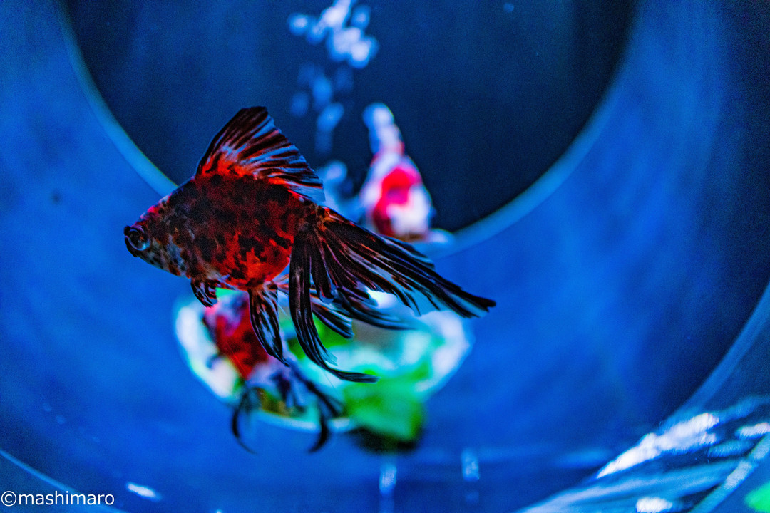 Thumb 26b9e5bc 1bb4 4e66 b421 d8ce8f36be30