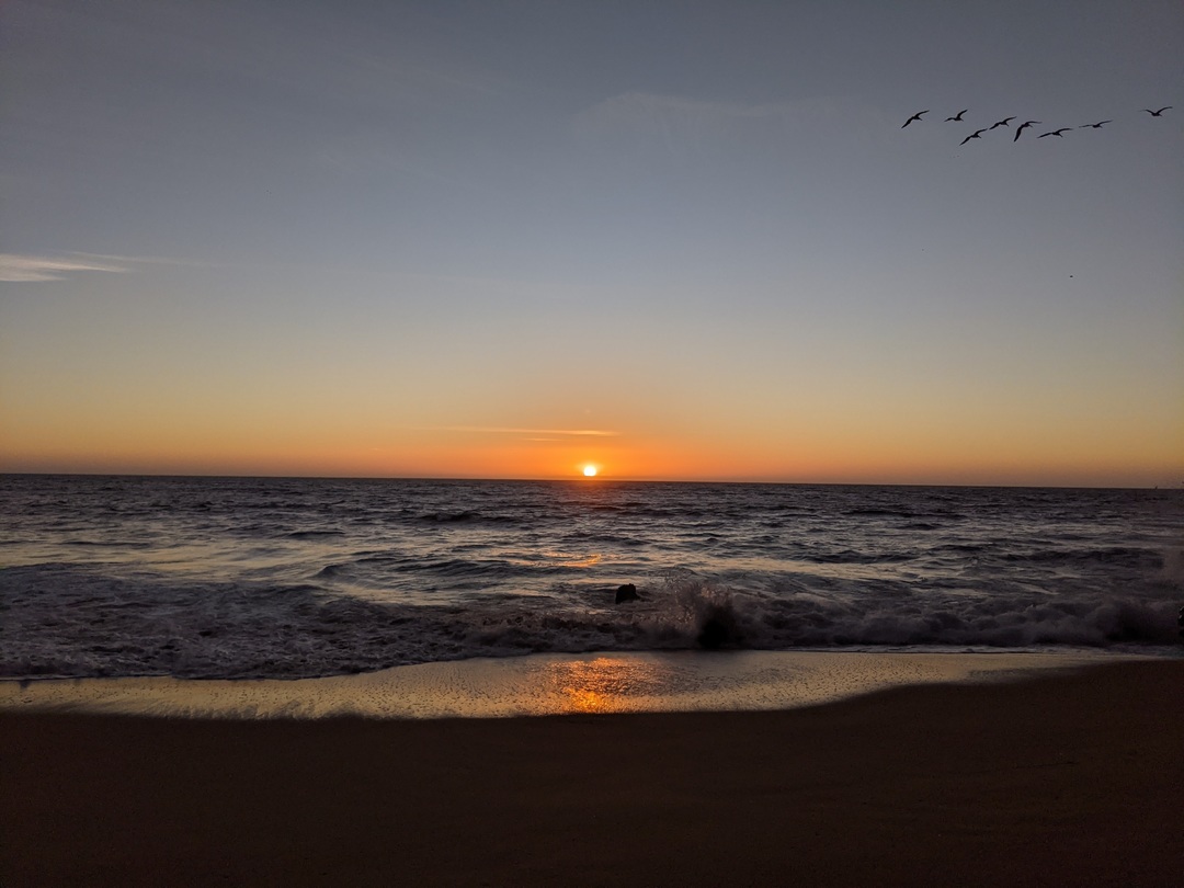 Thumb c8caa33f e34c 4e79 9a03 cf2faea95323